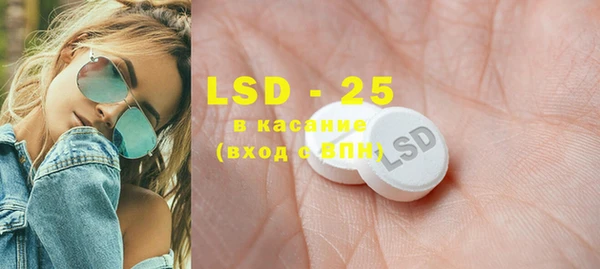 PSILOCYBIN Алзамай