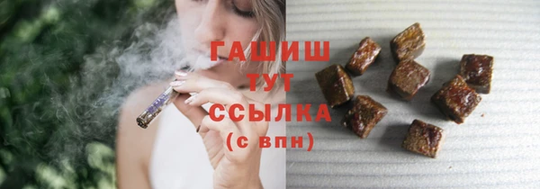 хмурый Аркадак