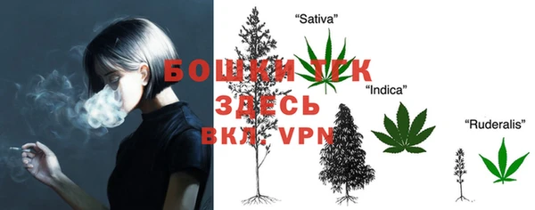 PSILOCYBIN Алзамай