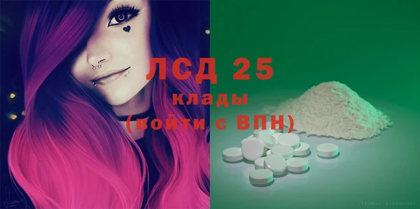 PSILOCYBIN Алзамай