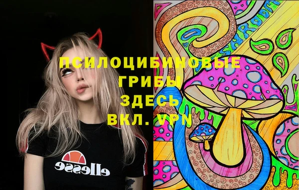 PSILOCYBIN Алзамай