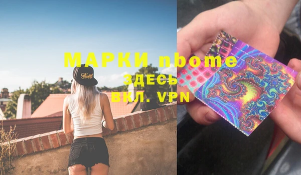 PSILOCYBIN Алзамай