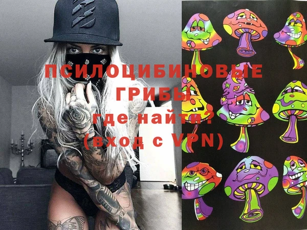 PSILOCYBIN Алзамай