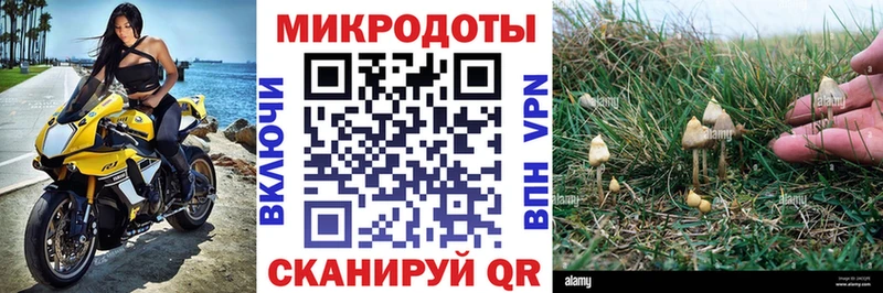 Псилоцибиновые грибы Psilocybine cubensis  Заволжск 